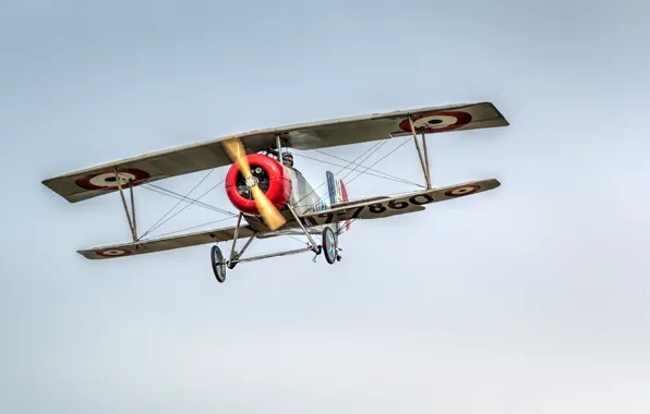 The sky, aviation, the plane