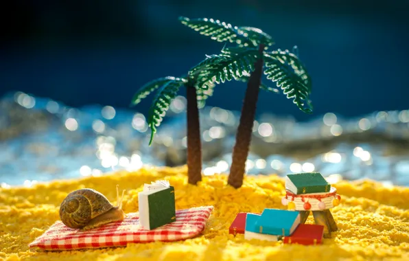 Sand, sea, wave, beach, macro, light, palm trees, the ocean