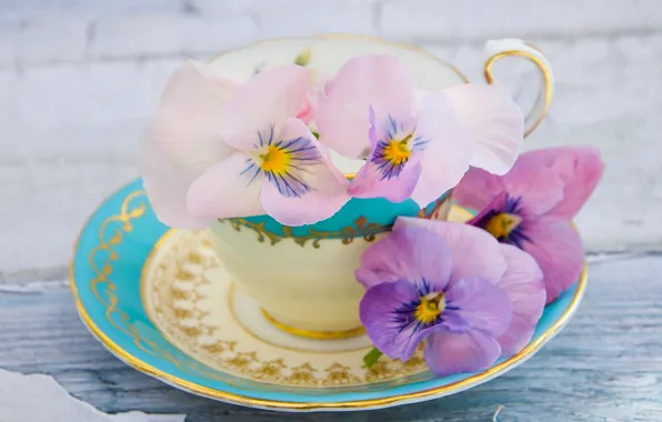 Cup, Pansy, saucer, viola