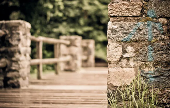 Greens, grass, photo, wall, paint, brick, focus, the fence