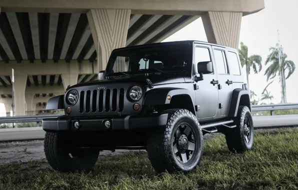 Picture Black, Matte, Wrangler, Jeep