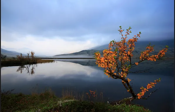 Picture autumn, the sky, leaves, lake, surface, reflection, tree, Norway