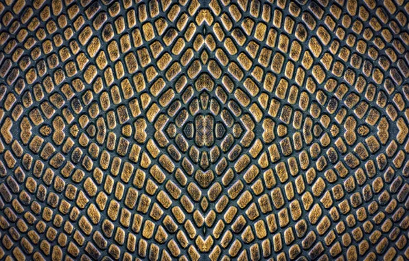 Symmetry, finish, Under the skin
