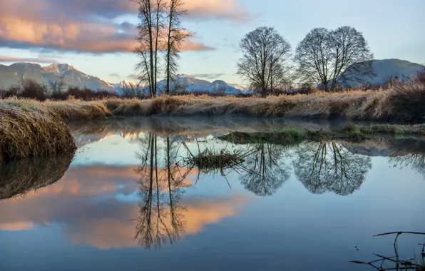 Frost, the sky, grass, clouds, trees, mountains, lake, reflection
