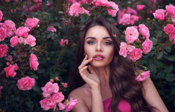 Picture girl, flowers, roses, makeup, brunette, hairstyle, beauty, the bushes