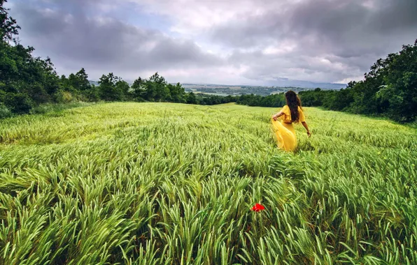 The sky, girl, landscape, nature, romance, dal, dress, long hair