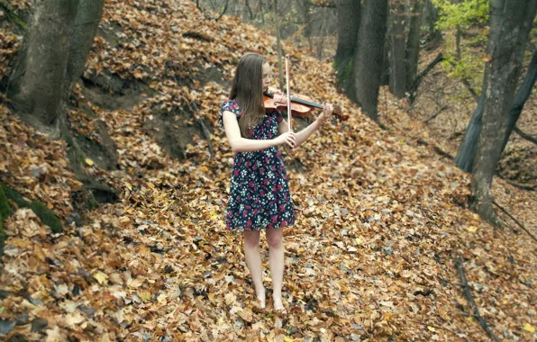 Picture autumn, girl, music, violin