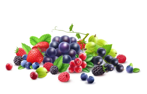Berries, raspberry, blueberries, strawberry, grapes, white background, currants, gooseberry