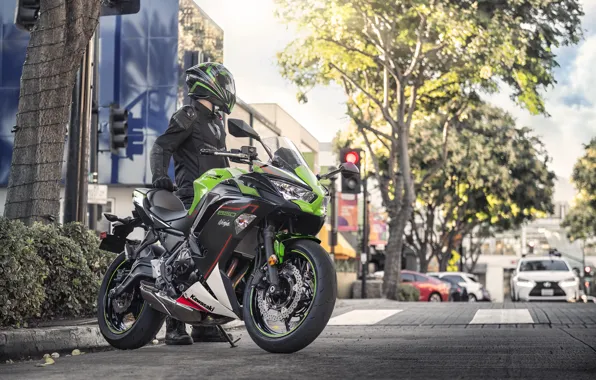 Picture Home, Road, The city, Trees, Kawasaki, Cars, Sport bike, Kawasaki Ninja 650