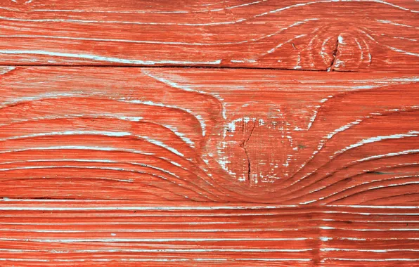 Tree, Board, paint