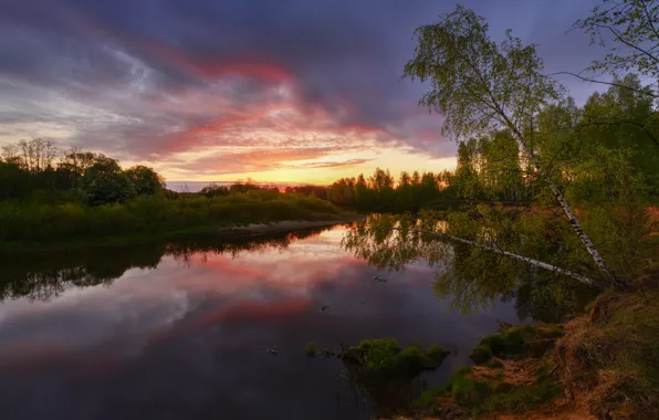 Picture trees, shore, Maxim Evdokimov, water, summer, the sky, river, sunset