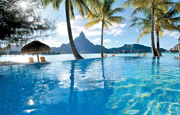 Palm trees, the ocean, pool, resort, french polynesia, bora-bora