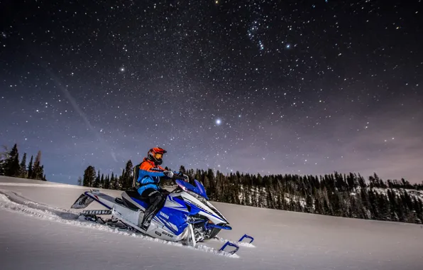 Wallpaper Forest, Yamaha, StarsWallpaper Forest, Yamaha, Stars  