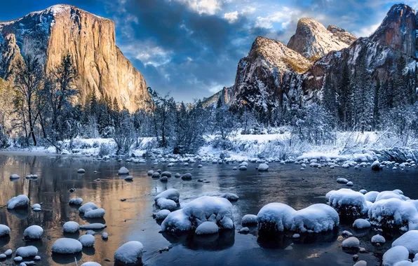 Picture forest, river, trees, landscape, nature, California, winter, rocks