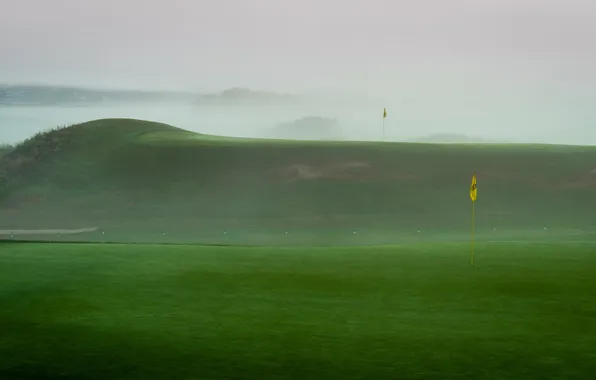 Field, fog, sport, Golf
