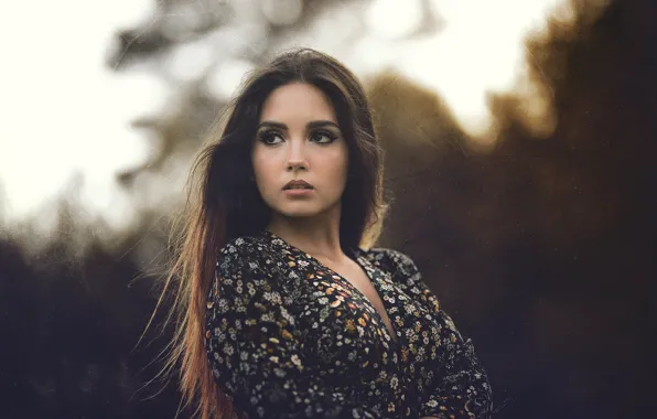 Picture girl, the dark background, portrait, the evening, brunette, beauty, bokeh, long-haired