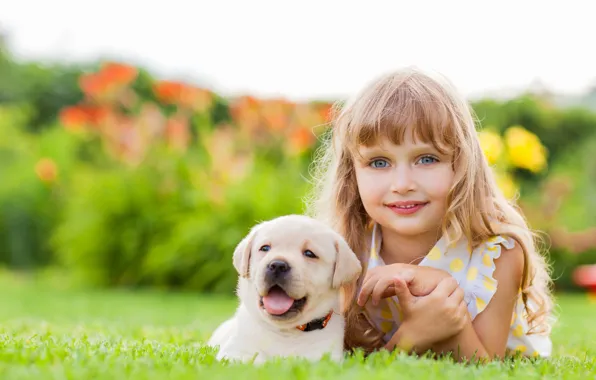 Face, smile, girl, puppy, friends, puppy, face, Retriever