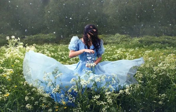Flowers, mood, dress, meadow