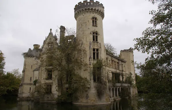 Picture the sky, trees, lake, overcast, France, ruins, architecture, Mote-Chandenier Castle