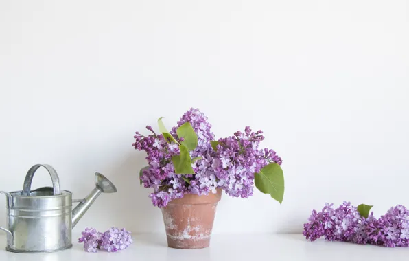 Bouquet, lake, lilac, bucket
