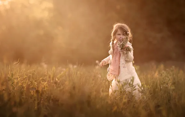 Wallpaper bouquet, field, girl, braids