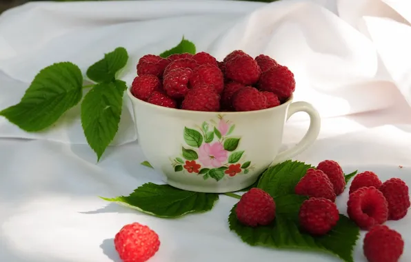 Picture raspberry, mug, leaves