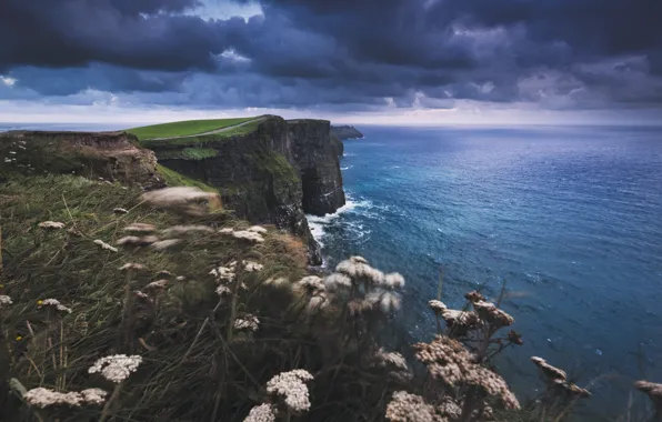 Sea, the sky, clouds, clouds, open, horizon