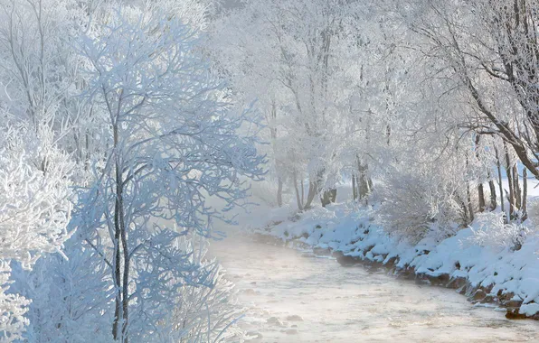 Winter, snow, river, Austria, trees, The Salzach
