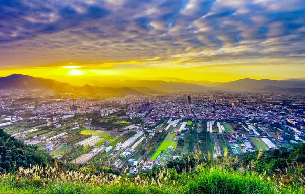 Greens, the sky, grass, the sun, clouds, rays, light, the city