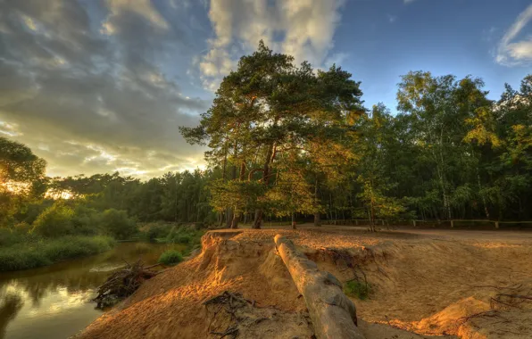 Picture forest, the sky, clouds, trees, sunset, river, open