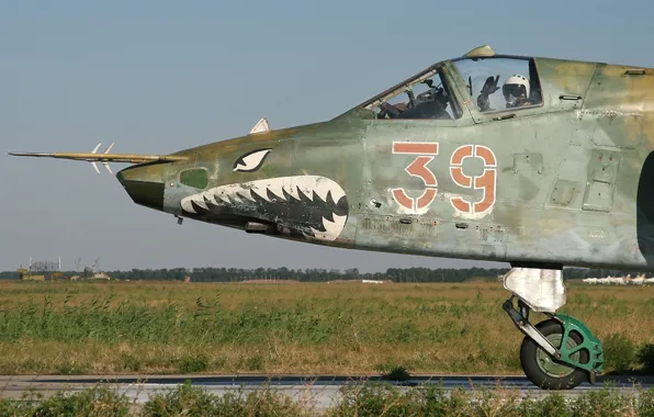 Picture pilot, attack, Rook, Su-25, Su-25