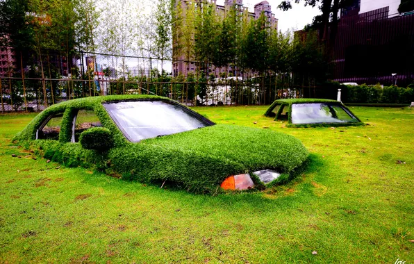 Machine, grass, the city, lawn, the skeleton