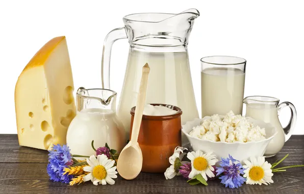 Picture flowers, cheese, milk, cheese, sour cream, dairy products