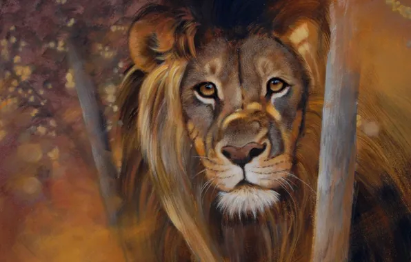 Picture eyes, lion, look, pollyanna pickering paintings