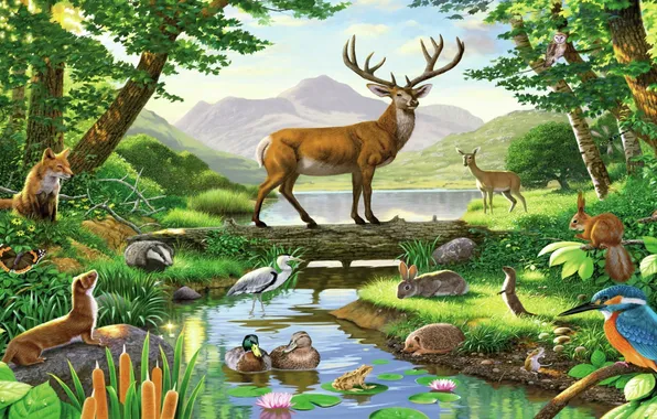 Forest, birds, figure, picture, deer