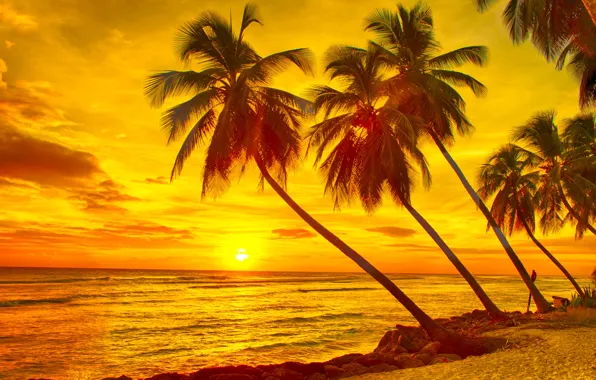 Sand, sea, the sky, the sun, sunset, tropics, stones, palm trees