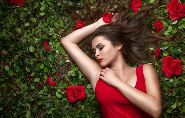 Picture chest, leaves, girl, flowers, pose, sleep, roses, hands