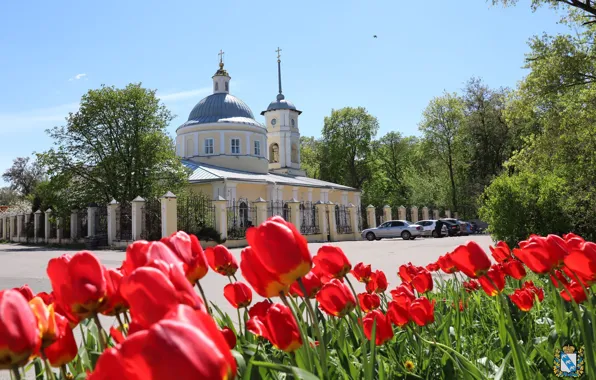 Spring, Tulips, Temple