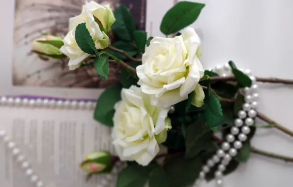 Flowers, roses, Book, beads