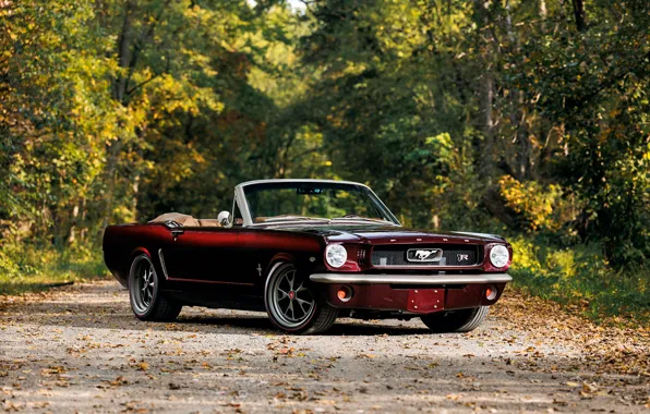 Mustang, Ford, front view, Ringbrothers, 1965 Ford Mustang Convertible, Ford Mustang Uncaged