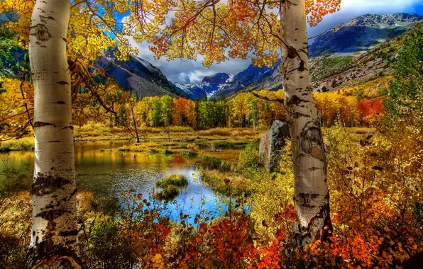 Autumn, the sky, grass, leaves, landscape, mountains, nature, lake