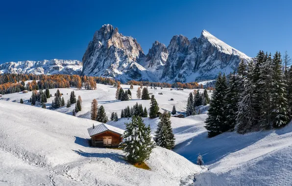 Picture winter, snow, trees, mountains, tops, hut, valley, Italy
