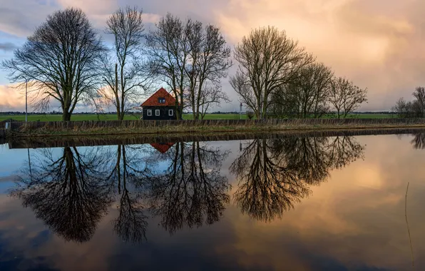 Field, trees, reflection, river, home, the evening, Netherlands, Oudendijk