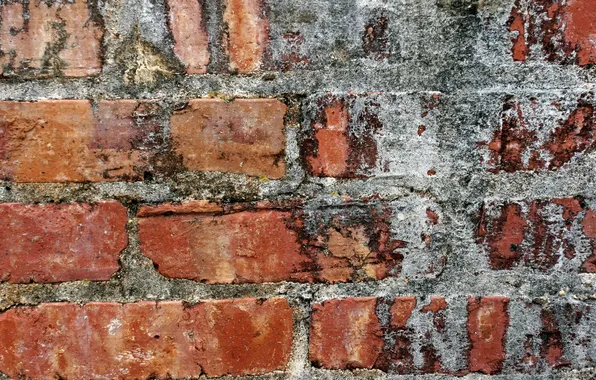 Background, wall, texture