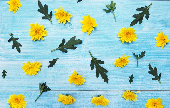 Flowers, yellow, chrysanthemum, yellow, wood, blue, flowers