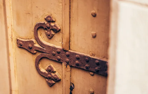 Metal, art, door, ironwork