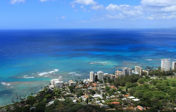 Picture the city, the ocean, skyscrapers, Hawaii, hawaii, coast., Honolulu