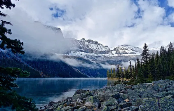 Forest, clouds, snow, trees, mountains, fog, lake, stones