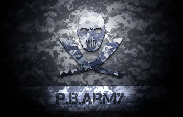 Winter, logo, logo, texture, army, Point Blank, point blank, camouflage
