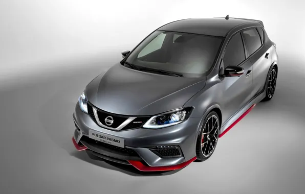 Picture Concept, Nissan, Nismo, 2014, Press